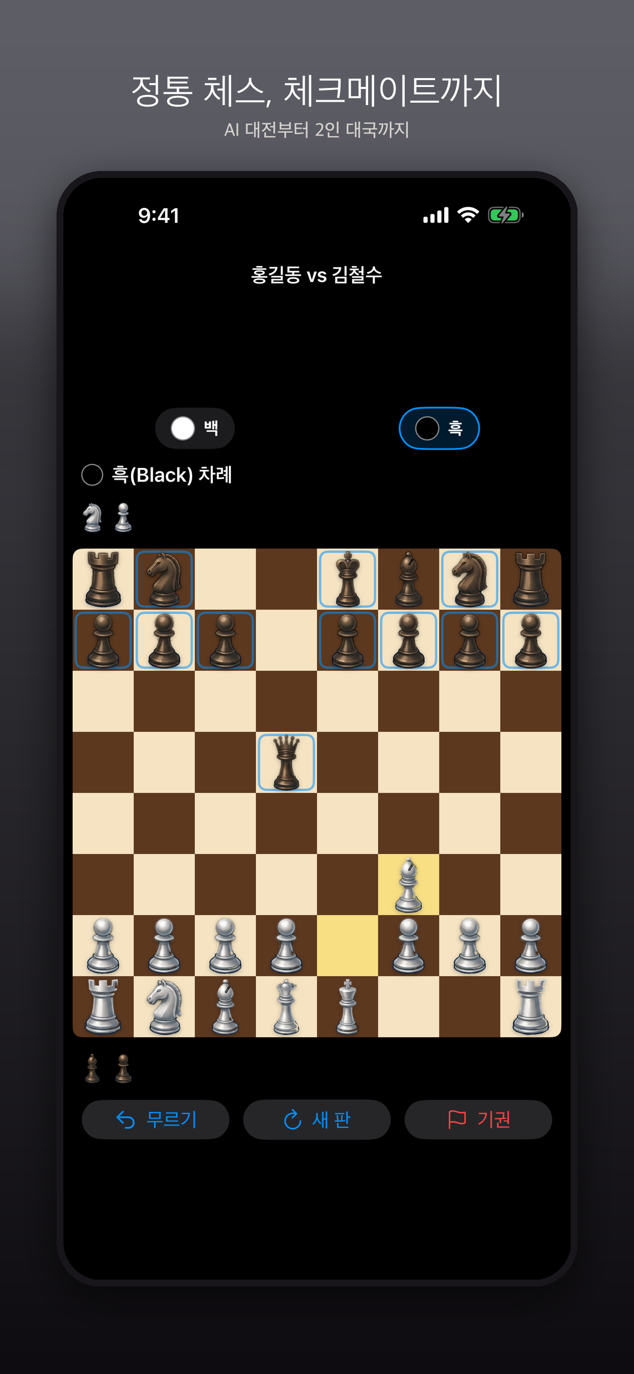 체스 / Chess